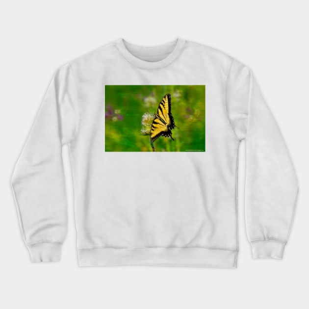 A Moment in Time Crewneck Sweatshirt by michaelasamples